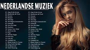 beste nederlandstalige liedjes