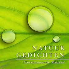 ontspannende muziek