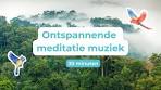 natuur muziek