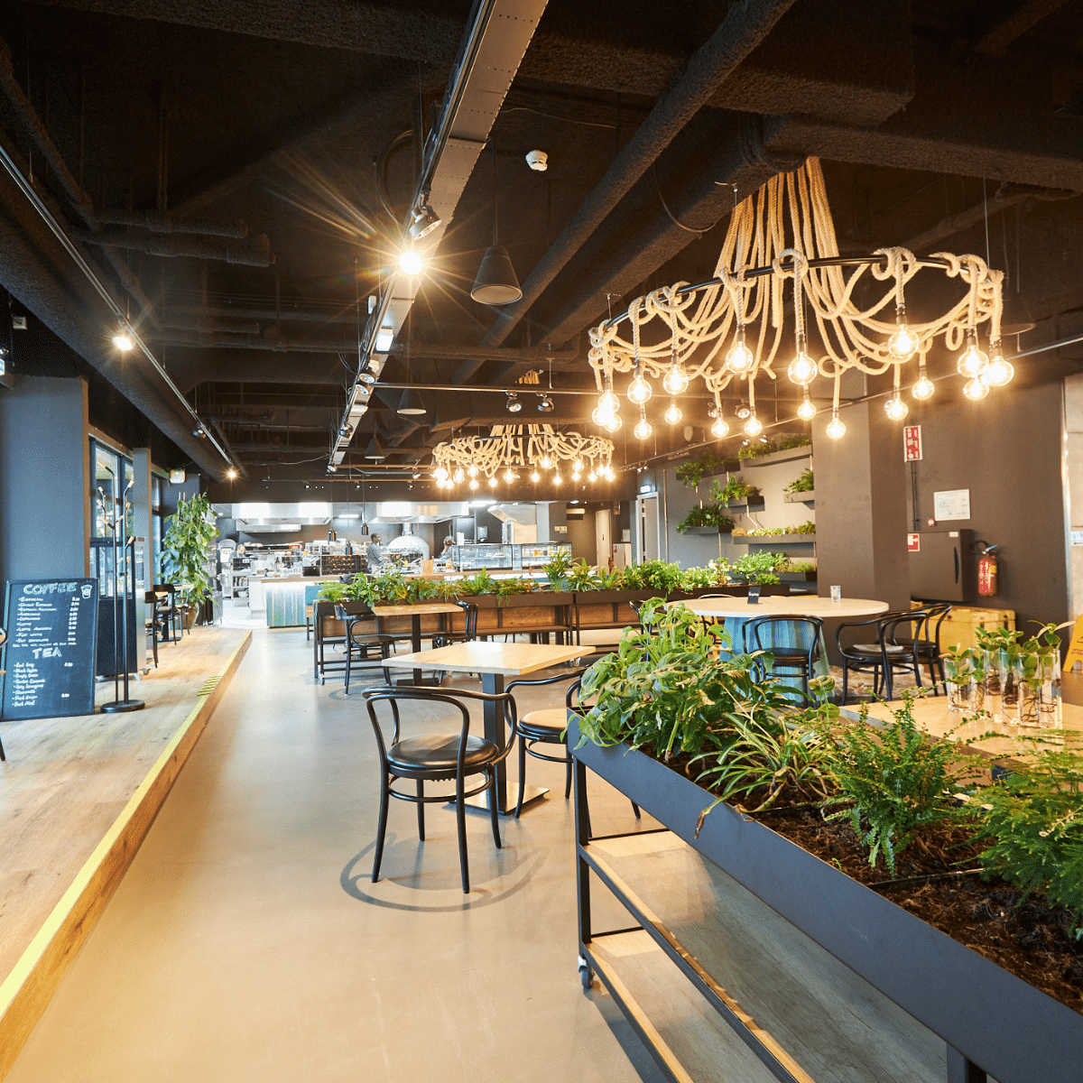 rechtenvrije muziek horeca