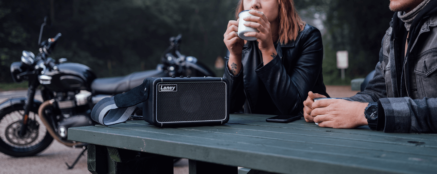 van der zwaag muziek